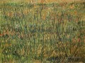 Pâturage en fleurs Vincent van Gogh